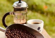 Coffee workshop – Zentveld’s Coffee Plantation