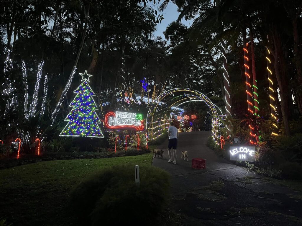 Christmas lights Byron style Byron Bay Blog